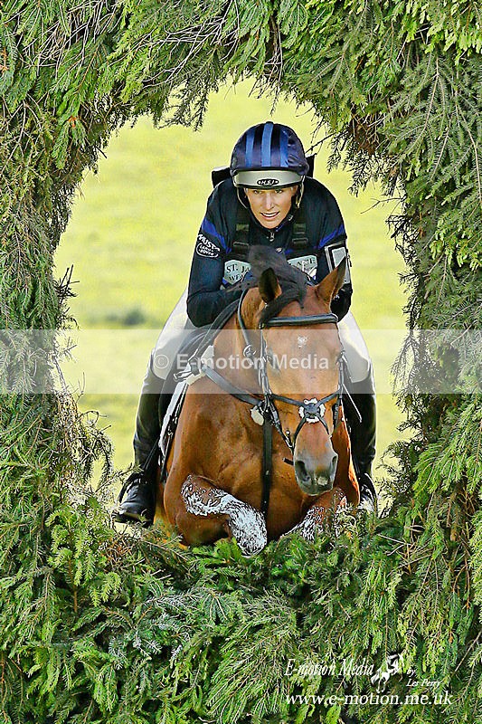 _LES7075w - Equestrian