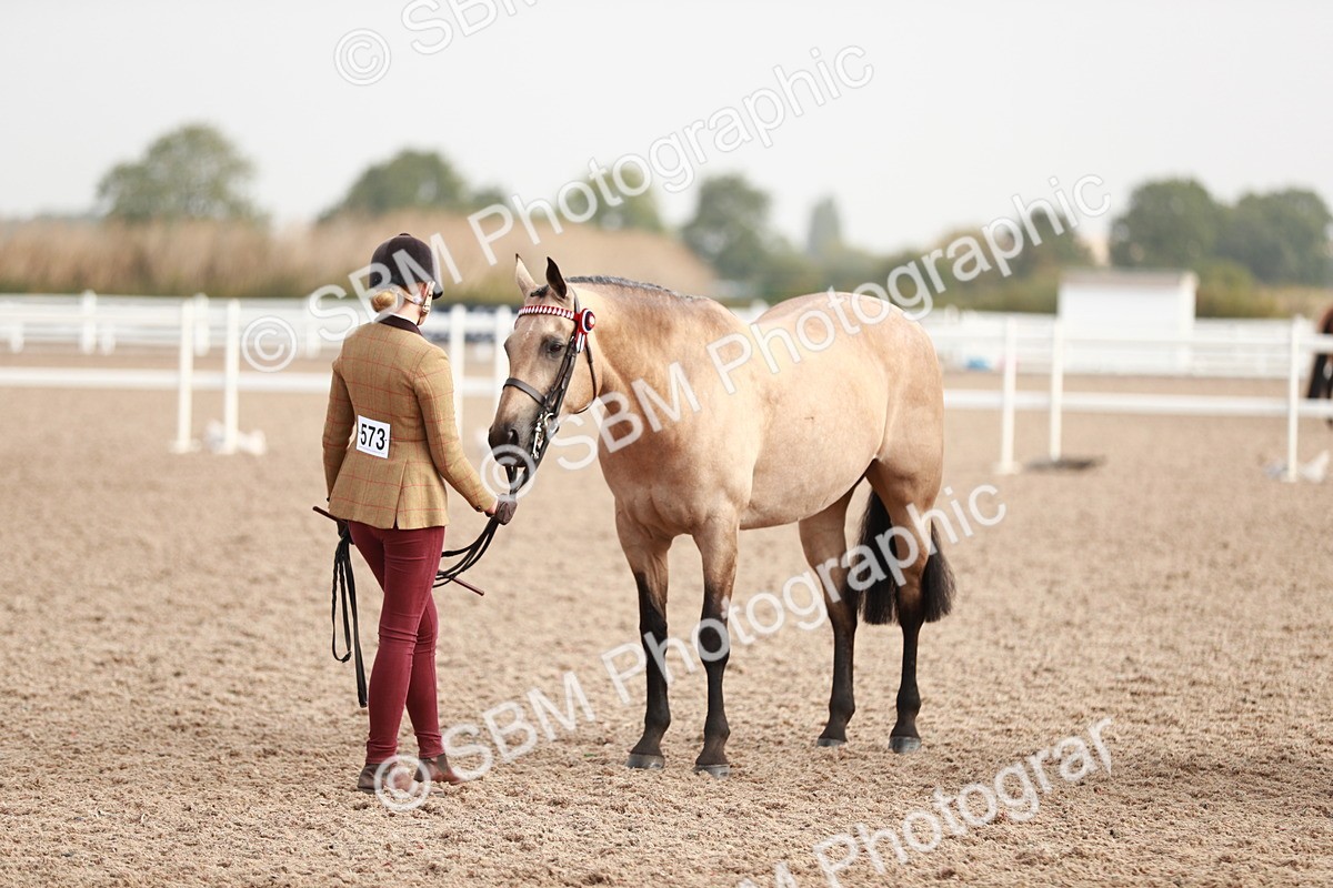 SBM_10565 - Class 204 Young Handler, 11-16 years