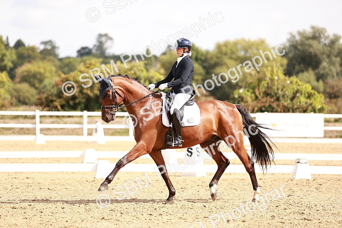 SBM_017652 - Class 11 - Advanced Medium 6