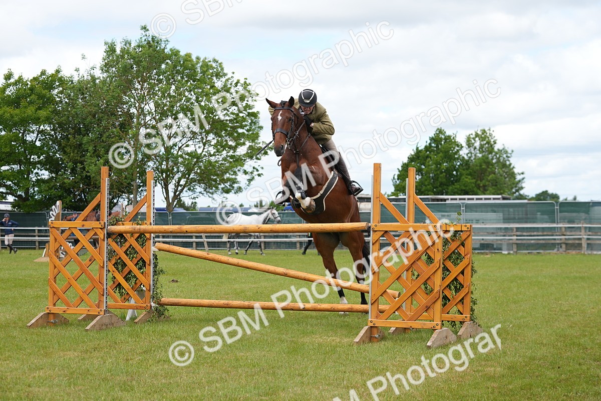 SBM_14943 - Class 100-102 - RIHS Working Hunter