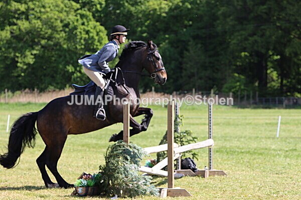 IMG_4519 - Working Hunter