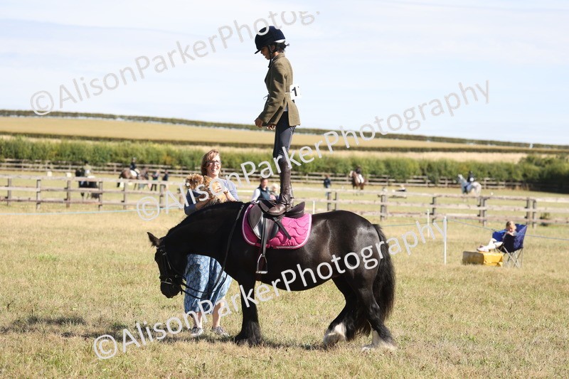 20260906-2181 - Class 16 - Family Pony