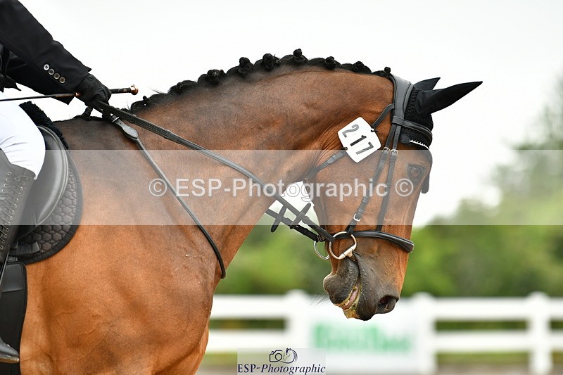 230708A-103809-02352 - Prelim 13