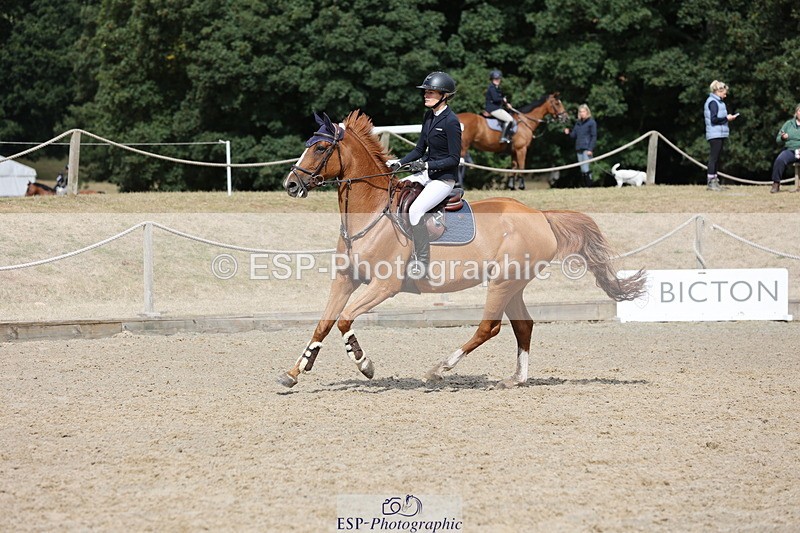 250829A-112709-01370 - Cls 7 British Novice and 90cm