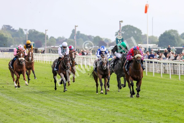 160524-Race 5-Big Evs-1900 - Race 5 4.15pm  British Stallion Studs EBF Westow Stakes