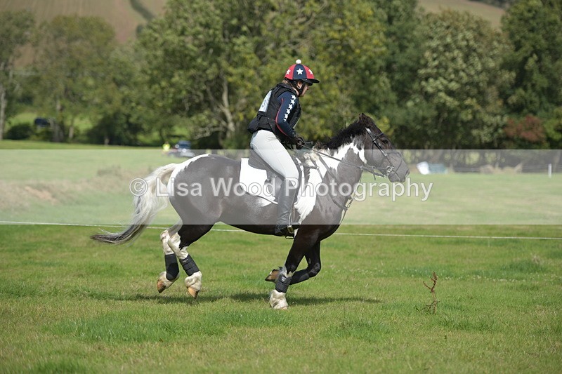 RAY_8665 - Class 2: Trekenning Open: Wall