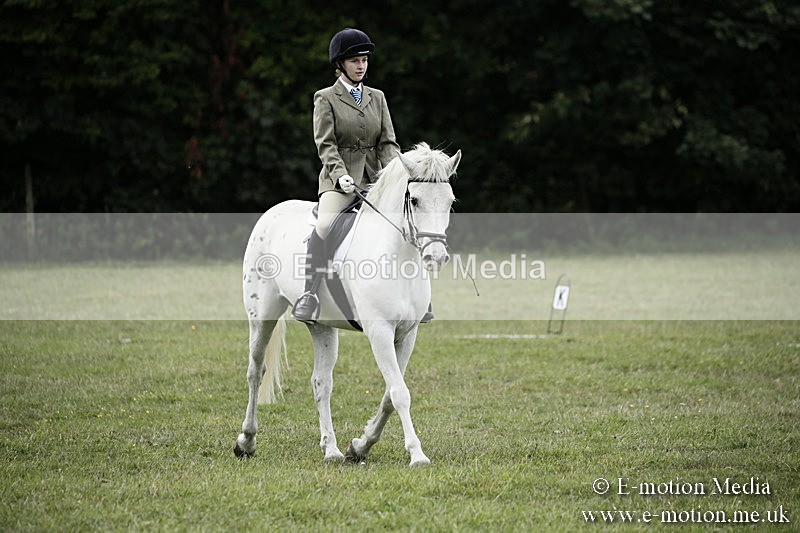 BVR080918 365 - BVRC Novice Dressage & CR 08/09/18
