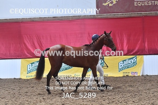JAC_5289 - 7 L'Espirits Little Unicorn