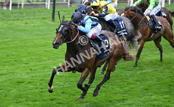 220825-144 Asfoora - Race 4 3.35pm Coolmore Wootton Bassett Nunthorpe Stakes