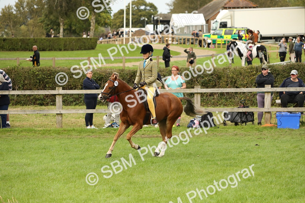 SBM_71644 - S41 - Ridden Equitation (Best Rider)