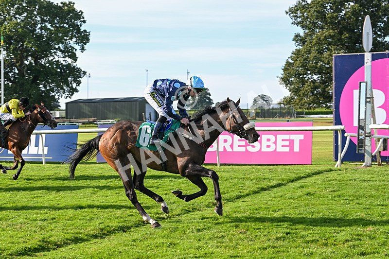 160924-Race 6-Count Palatine-3125 - Race 6