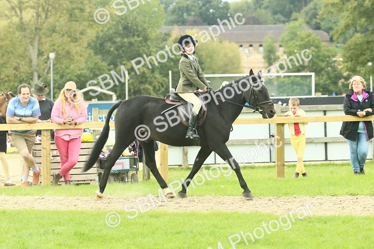 SBM_73991 - S 61 - Show Pony & Show Hunter Pony Ridden