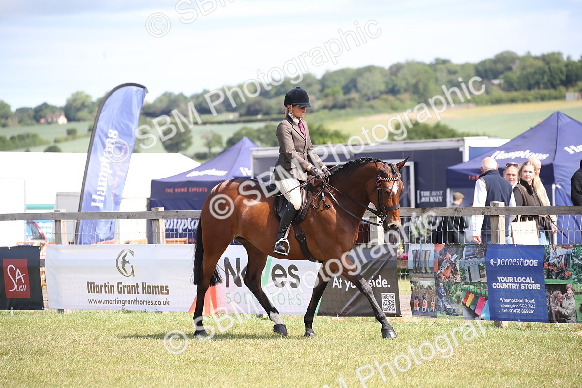 SBM_13297 - Class 95-96 - LIHS BSHA Rising Star Hack Riding Horse