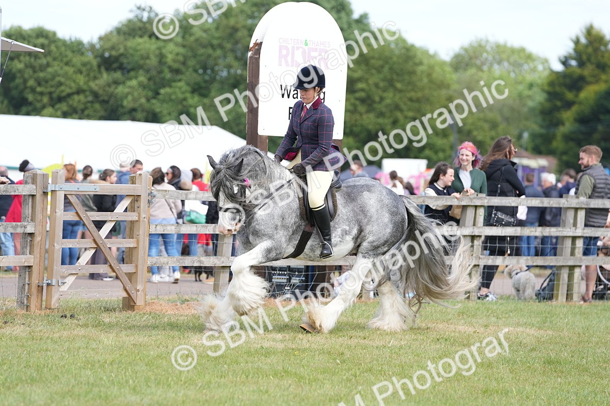 SBM_17160 - Class 107-108 - LIHS BSPS Performance Coloured Horse Pony