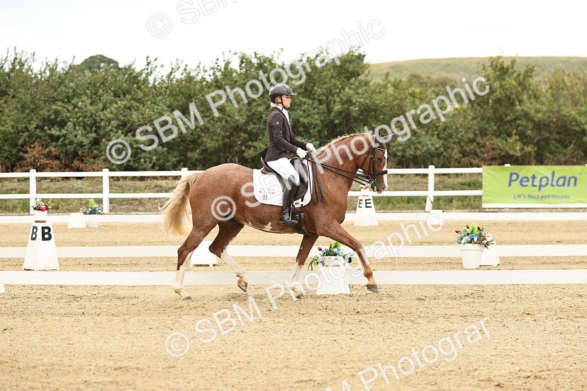 SBM_006543 - Class 21 - Medium 5 Bronze - 9.08-9.48