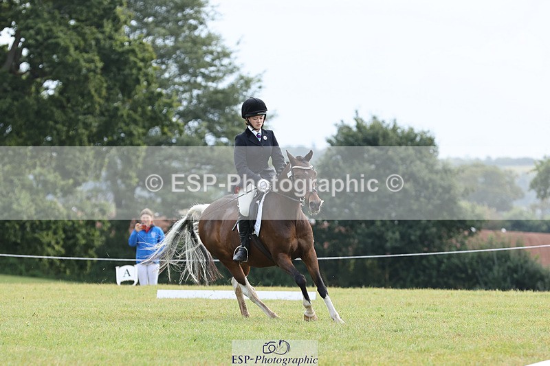 240824X-110520-26837 - D70 Section C and D 9.30 to 11.00