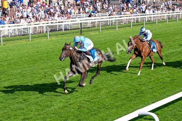 110725-Race 7-Secret Beach-0590 - Race 7 5.40pm William Hill Bet In Running Apprentice Handicap