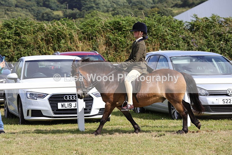 1X9A5599 - Class 39: NPS Dartmoor, Exmoor, Shetland
