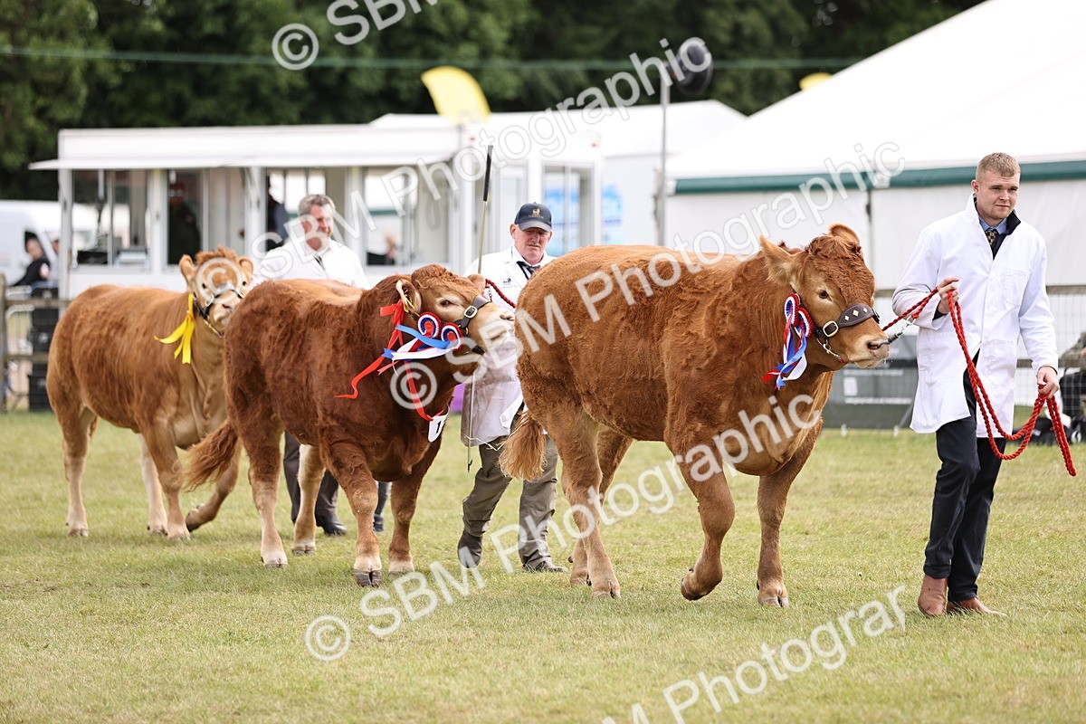SBM_16911 - Grand Parade