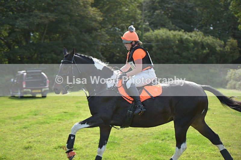 RAY_8820 - Class 2: Trekenning Open: Wall