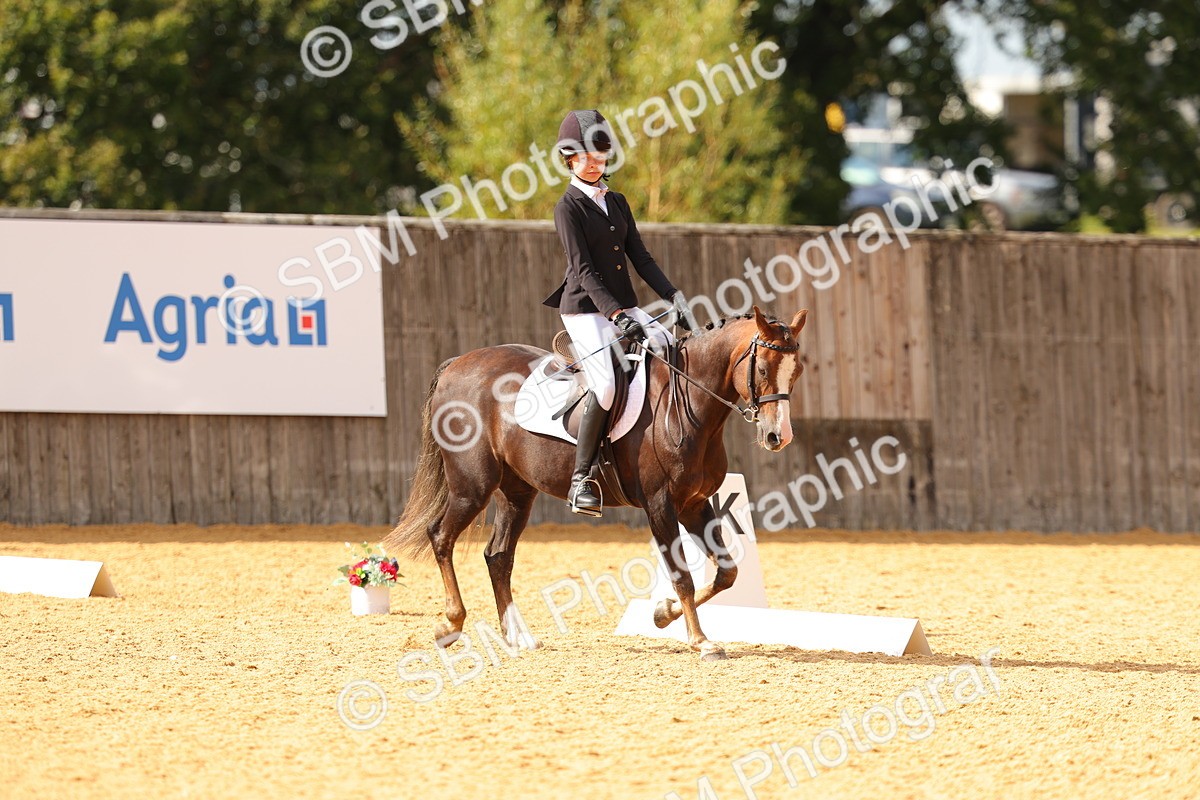 SBM_48372 - D22 - Junior Championship - Intro B
