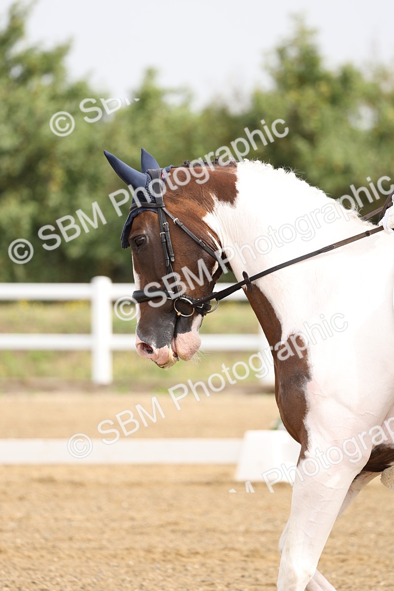 SBM_005453 - Class 6 - Novice 6 - 9.30-10.12