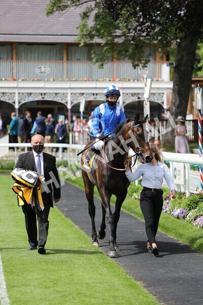 yr12062021r2-34 - Race 2 2.35pm The JCB Stakes