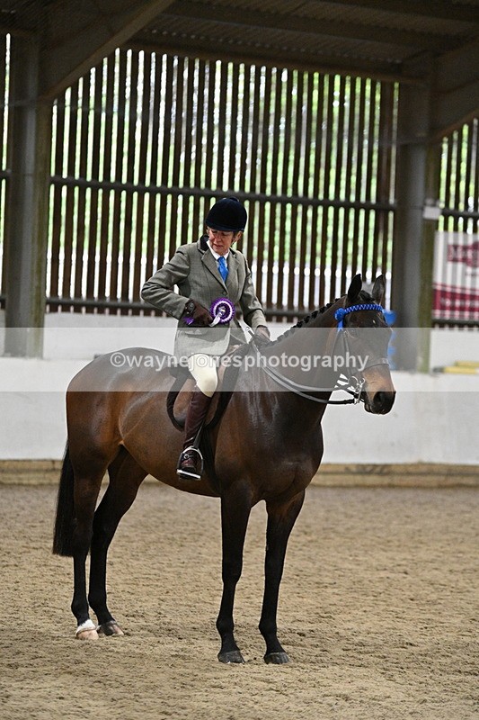 WJ7_4379 - Class 17 Ridden Cob