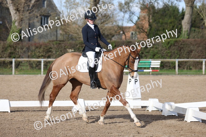 20260214-0615 - Class 5 - Novice 3