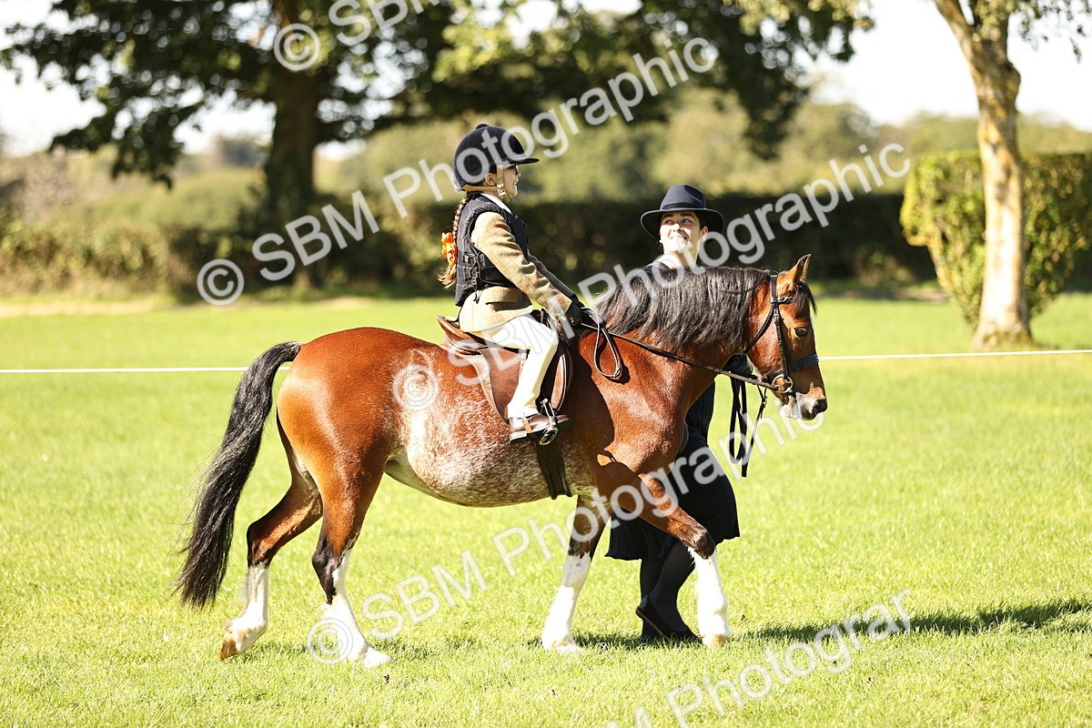 SBM_19201 - S3 - TSR Ridden Pony Showing