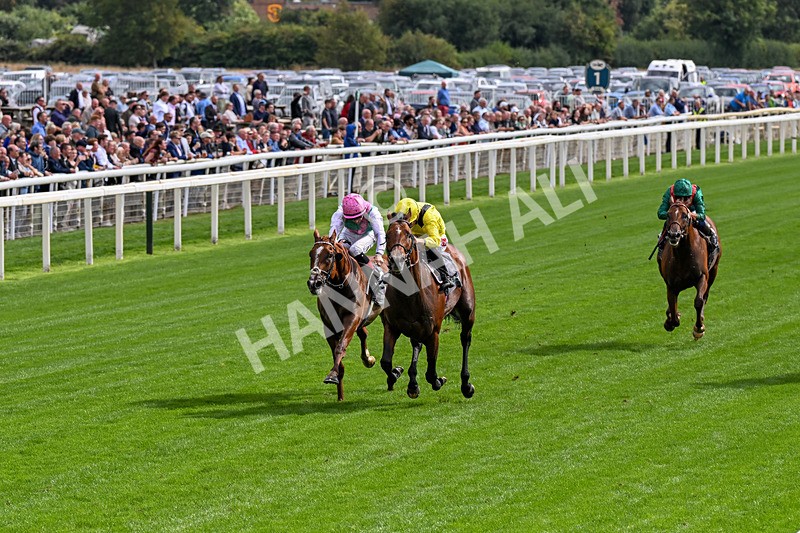 190826-Race 4-Item-0452 - Race 4 15.35pm Juddmonte International Stakes