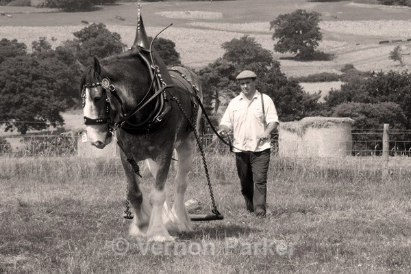  - Traditional Black & White