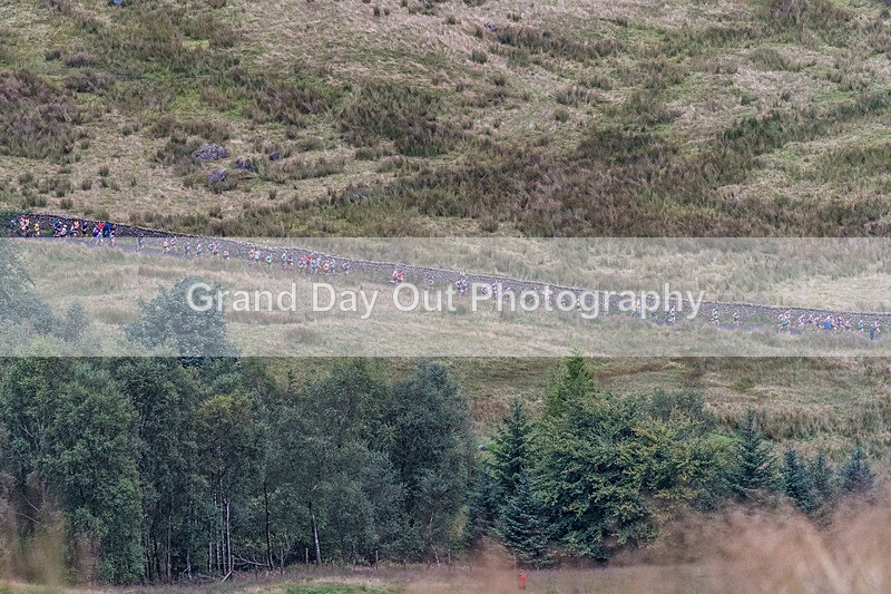 Steel Fell-15 - Steel Fell Race Wednesday 7th August 2024