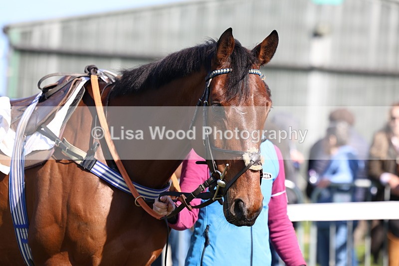 3E7A5589 - Race 6: Maiden (NWFAA)