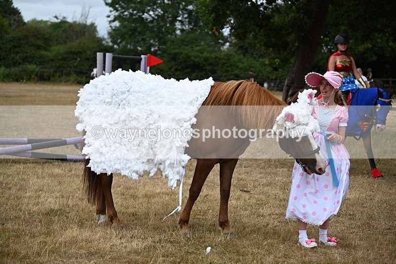 WJ6_8758 - Class 11 Fancy Dress