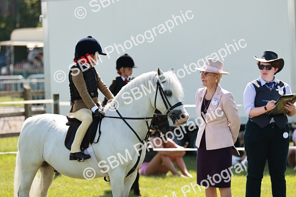 SBM_12742 - Class 106-107 - BSPS LIHS Working Sports Pony