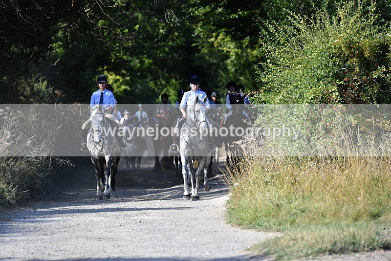 WJ5_4851 - Walk out with the hounds