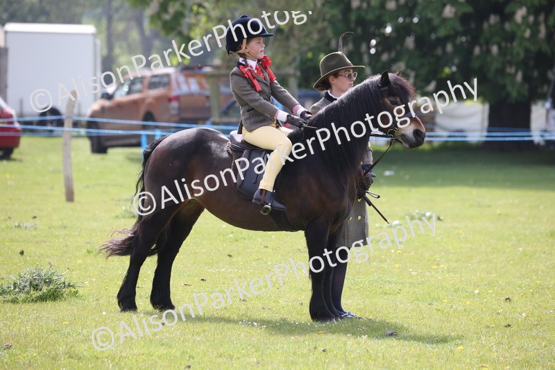 20260426-2605 - Class 31 - Leading Rein
