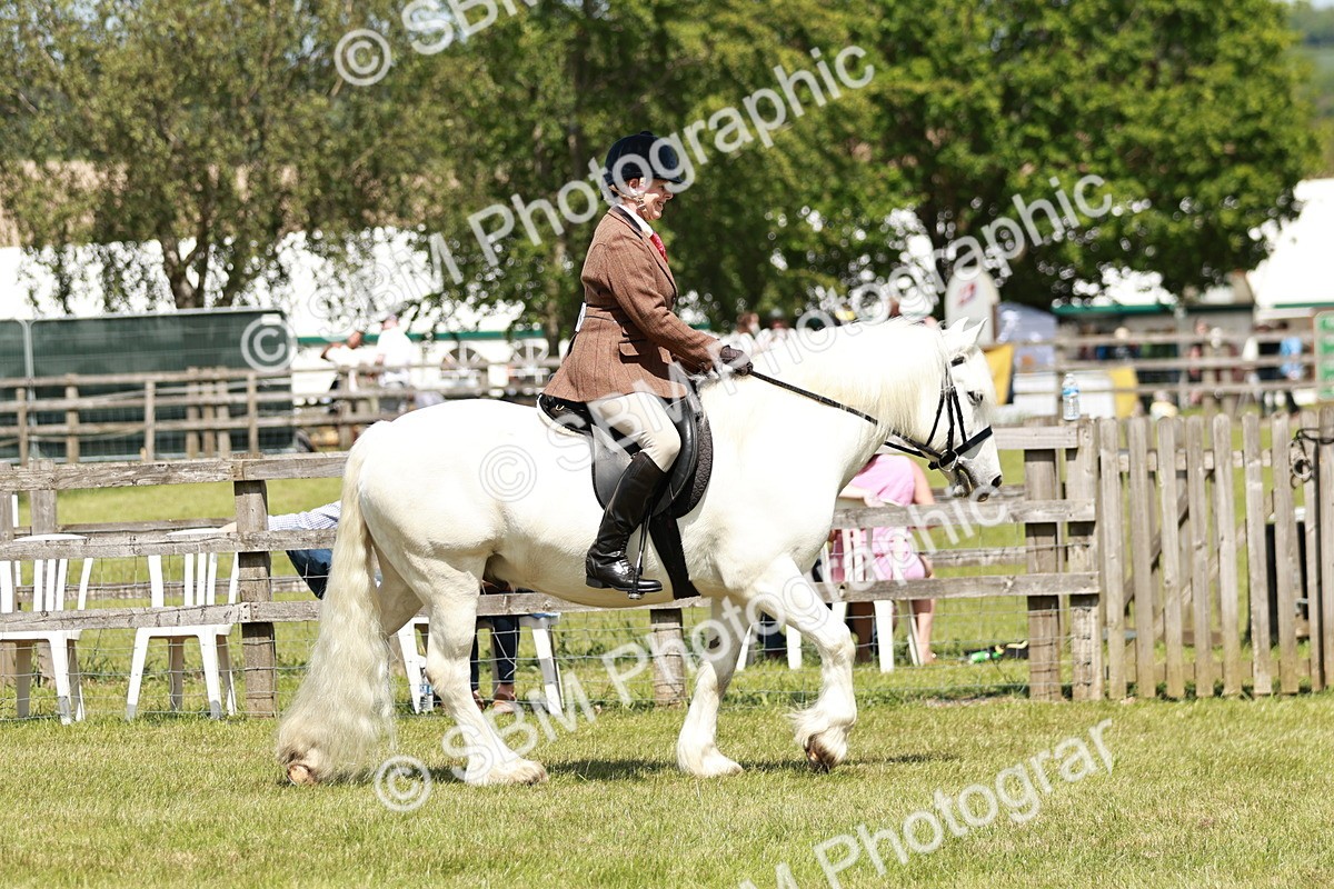 SBM_07024 - Class 26-30 - Mountain and Moorland Ridden