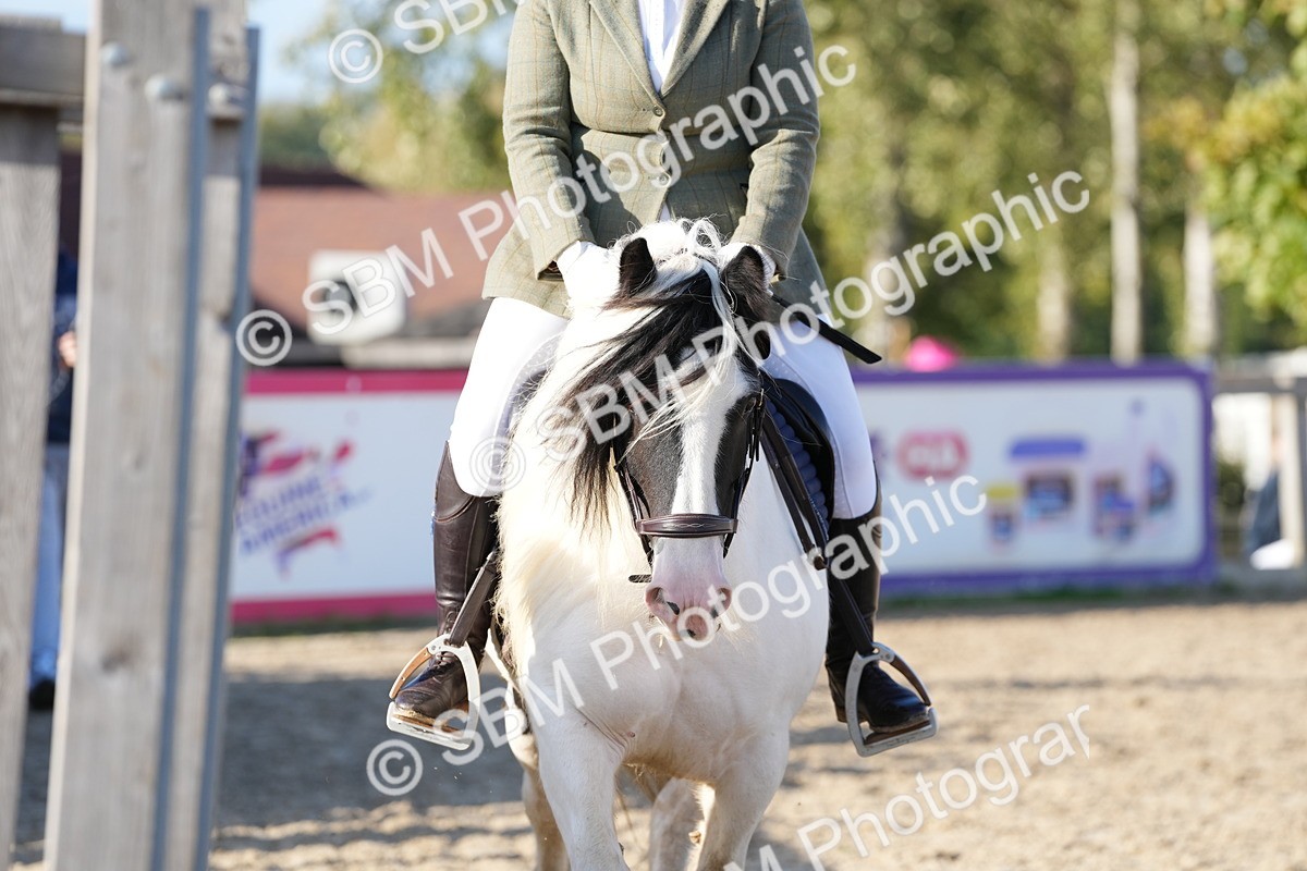 SBM_28964 - J43 - Horse & Hound Open 50cm