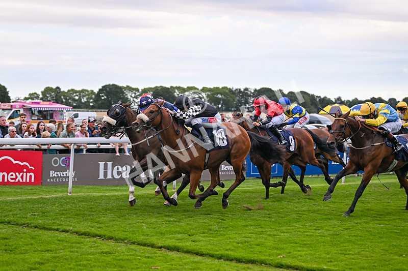 290725-Race 7-King Sharja-1276