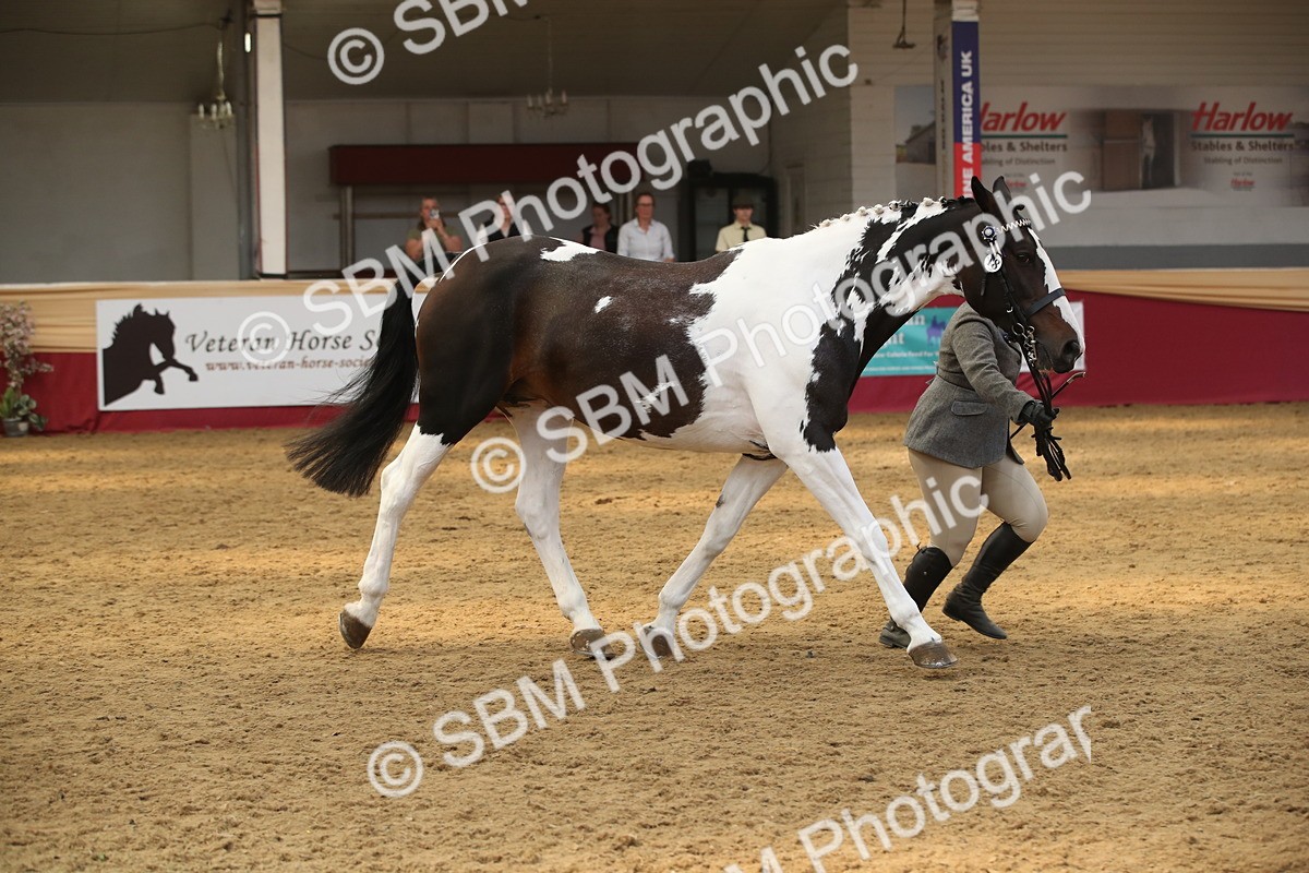 SBM_05639 - Class 9R - Regional IH Pre-Vet