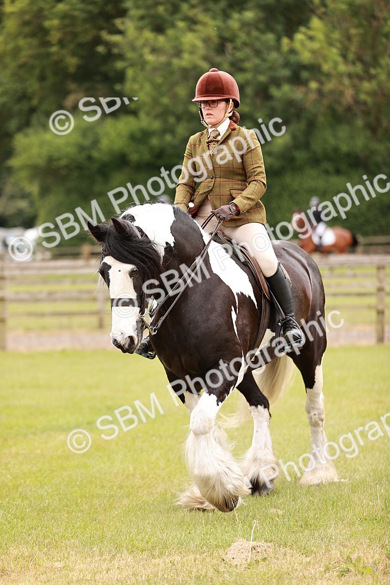 SBM_06212 - Class 39-41 TGCA In Hand and Ridden