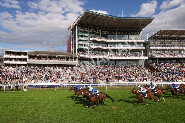 yr19082022r6-29 - Race 6 4.45 pm British Stallion Studs EBF Convivial Maiden Stakes