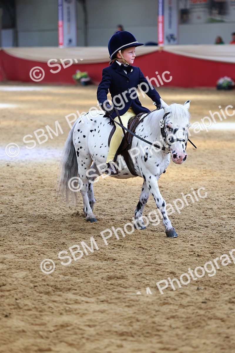 SBM_23855 - Class 905 - Supreme Final - Ridden Veteran