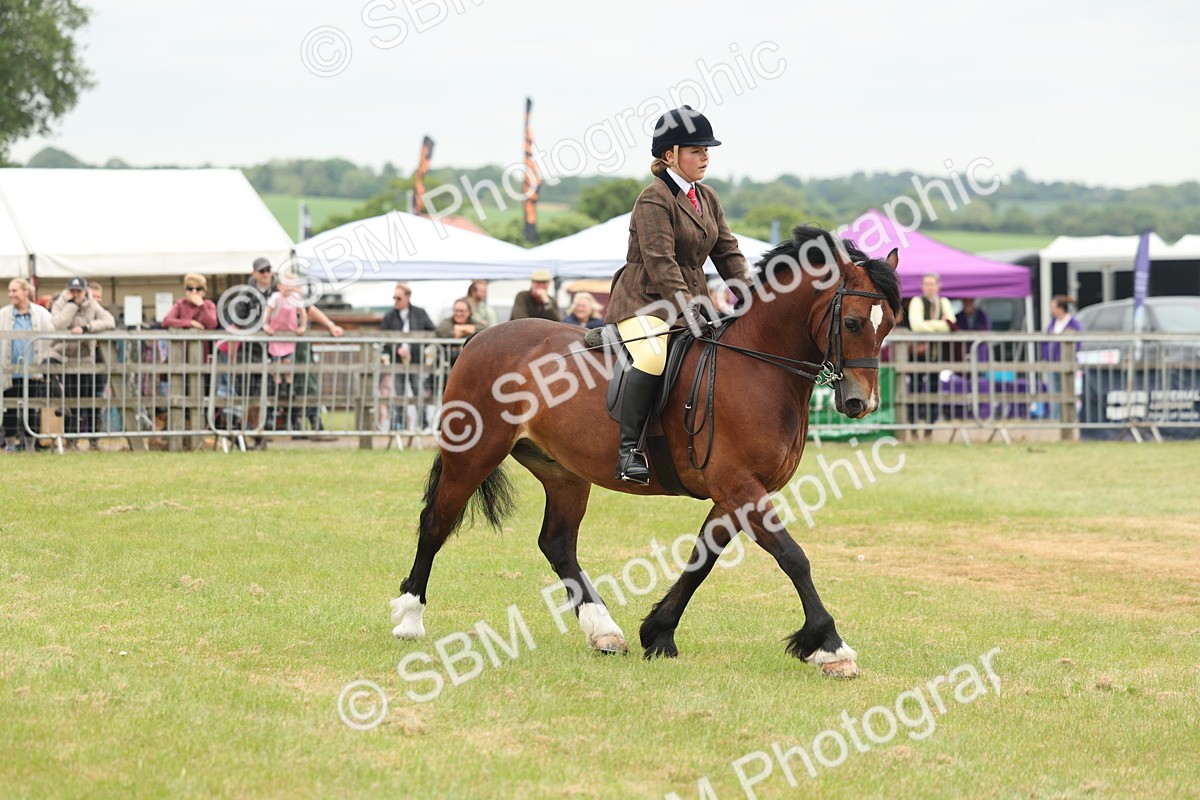 SBM_07194 - Class 76-77 - Ridden M&M Welsh Ponies