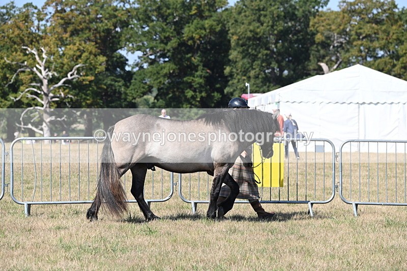 WJ6_4377 - Class 17 Mountain & Moorland