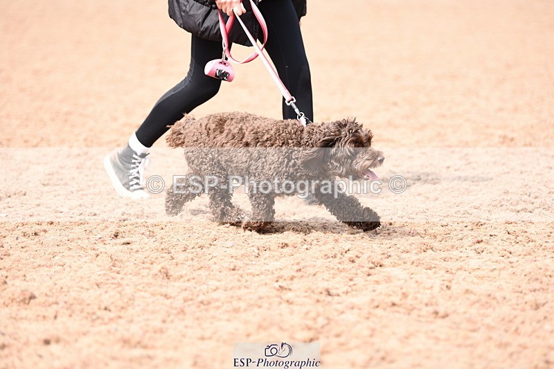 240518A-114822-00830 - Cls 2 Prettist Bitch