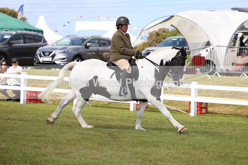 3E7A9710 - Class 5: Rising Star Lightweight/Heavyweight Cobs