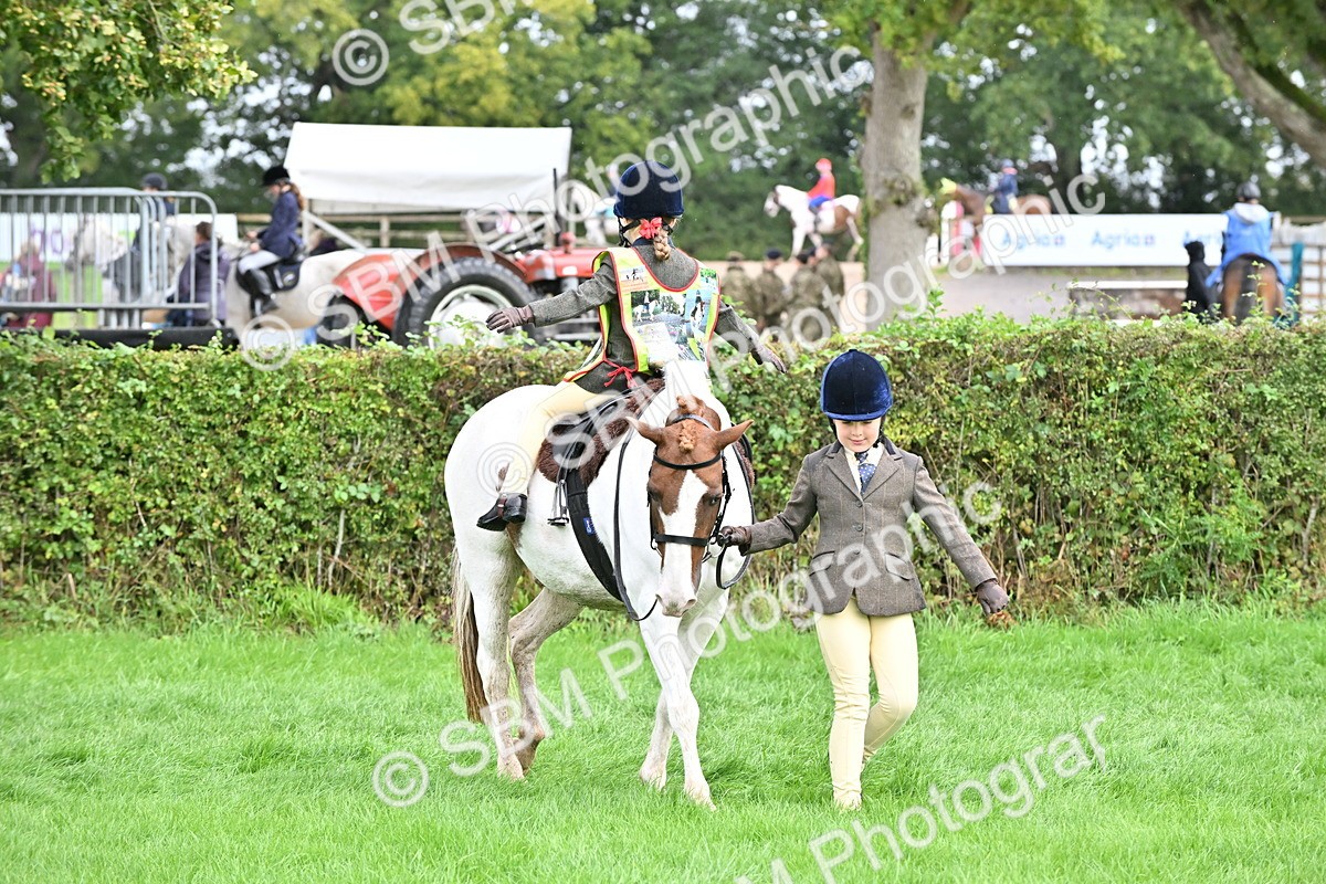 SBM_43059 - S12 - Family Horse & Pony